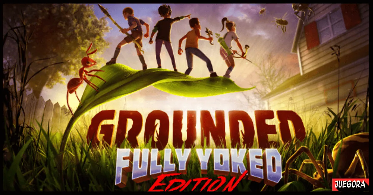 Grounded